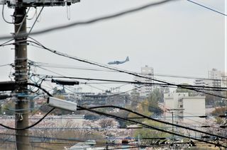 DSC_2576.JPG