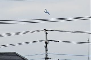 DSC_2580.JPG