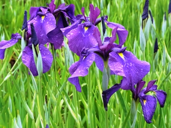 �k�R����