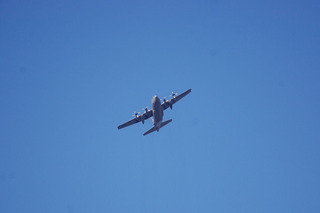 aDSC_1031.jpg