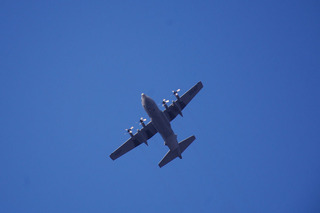 aDSC_1032.jpg