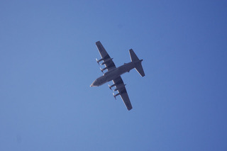 aDSC_1033.jpg