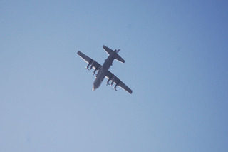 aDSC_1034.jpg
