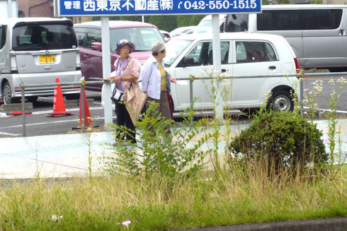 aP1060202b.jpg