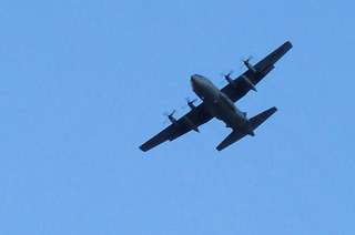 aP1080714.jpg