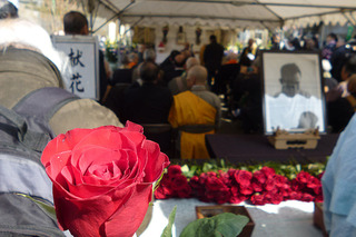 aP1090176.jpg